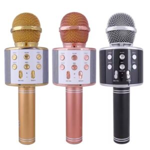 Microphone Loud Speaker For Speech Good For Kids & Students