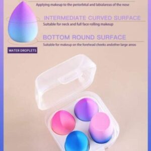 Beauty Blender With Plastic Case