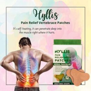 HYLLIS Pain Relief Patches – 10PCS Neck & Back Pain Relief